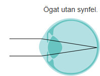 gat utan synfel